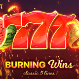 Halaman Portal Alternatif Slot Gacor & Link Dadu Slot88 Burning Wins