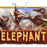 Link Alternatif Situs Togel, Situs Toto, Bandar Togel, Bandar Toto Elephant