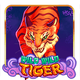 Banner Promosi Agen Togel Resmi & Bandar Togel Qris 10k Maxwin Terpercaya Wild Wild Tiger